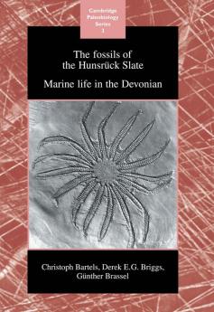 The Fossils of the Hunsruck Slate