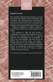 The Fossils of the Hunsruck Slate