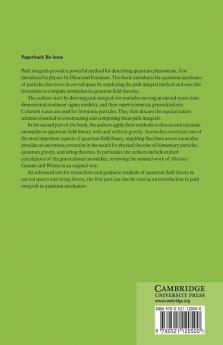Path Integrals and Anomalies in Curved Space