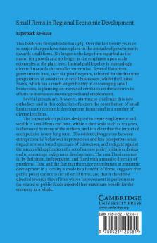 Small Firms in Regional Economic Development
