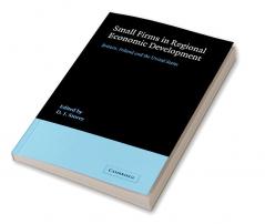 Small Firms in Regional Economic Development