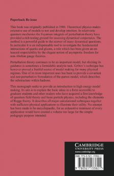 Models of High Energy Processes