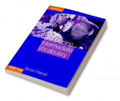 Developing Intermediate Vocabulary