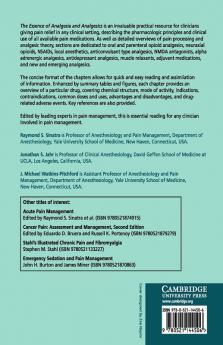 The Essence of Analgesia and Analgesics
