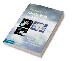 The Essence of Analgesia and Analgesics