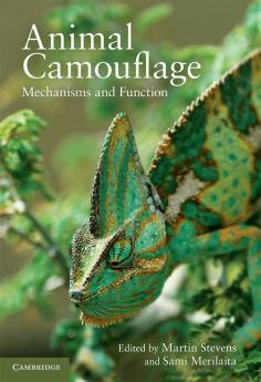 Animal Camouflage