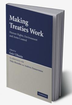 Making Treaties Work