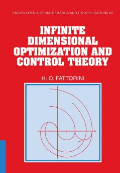 Infinite Dimensional Optimization and Control Theory