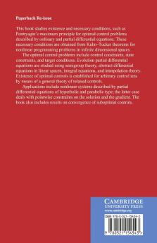 Infinite Dimensional Optimization and Control Theory