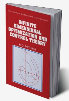Infinite Dimensional Optimization and Control Theory