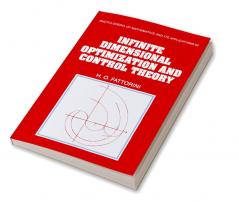 Infinite Dimensional Optimization and Control Theory