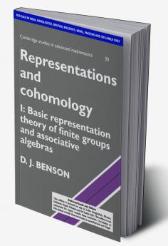 Representations and Cohomology