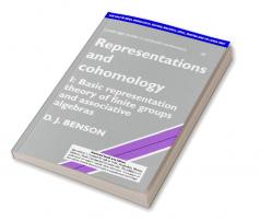 Representations and Cohomology