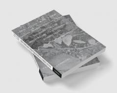 Fundamentals of Mid-Tertiary Stratigraphical Correlation