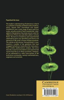 Turbulence Structure and Vortex Dynamics