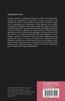 Romanticism and the Painful Pleasures of Modern Life