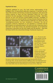 Molecular Chaperones and Cell Signalling