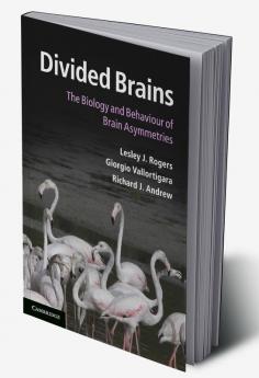 Divided Brains