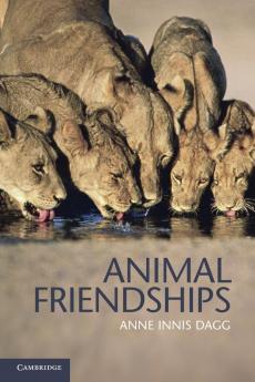 Animal Friendships