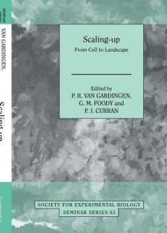 Scaling-Up