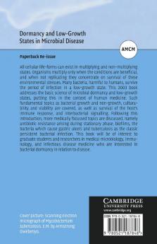 Dormancy and Low Growth States in Microbial Disease