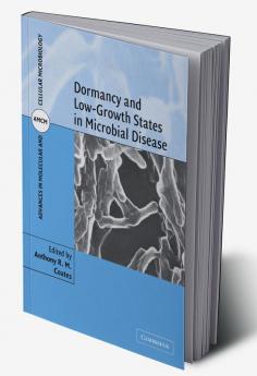 Dormancy and Low Growth States in Microbial Disease