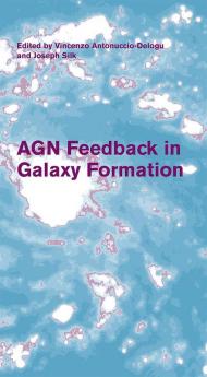 AGN Feedback in Galaxy Formation