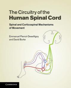 The Circuitry of the Human Spinal Cord