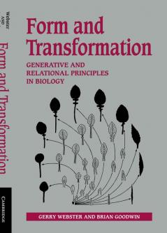 Form and Transformation