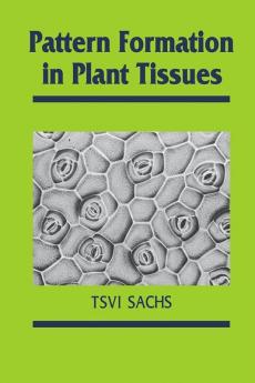 Pattern Formation in Plant Tis