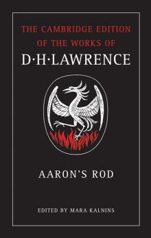 Aaron's Rod