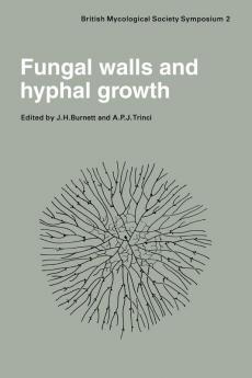Fungal Walls and Hyphal Growth