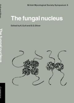 The Fungal Nucleus