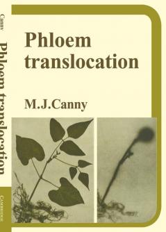 Phloem Translocation
