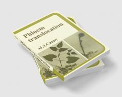 Phloem Translocation
