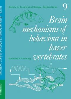 Brain Mechanisms of Behaviour in Lower Vertebrates