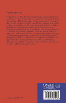 Lively Membranes