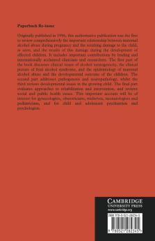 Alcohol Pregnancy and the Developing Child