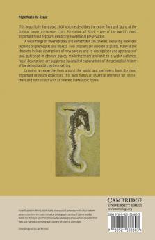 The Crato Fossil Beds of Brazil