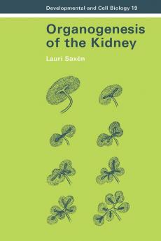 Organogenesis of the Kidney