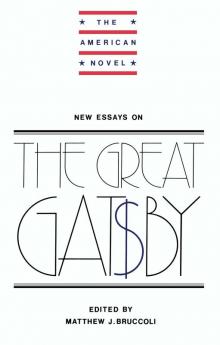 New Essays on the Great Gatsby