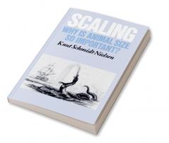 Scaling