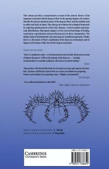 Deep-Sea Biology