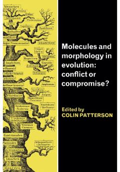 Molecules and Morphology in Evolution