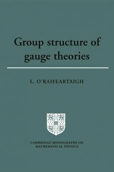 Group Structure of Gauge Theories