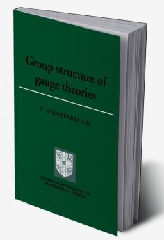 Group Structure of Gauge Theories