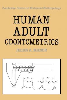 Human Adult Odontometrics