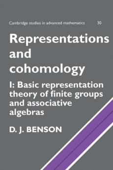 Representations and Cohomology