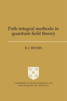 Path Integral Methods in Quantum Field Theory