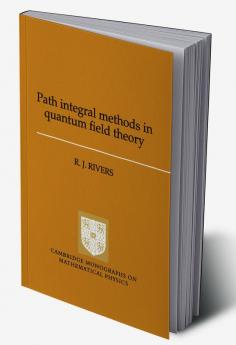 Path Integral Methods in Quantum Field Theory